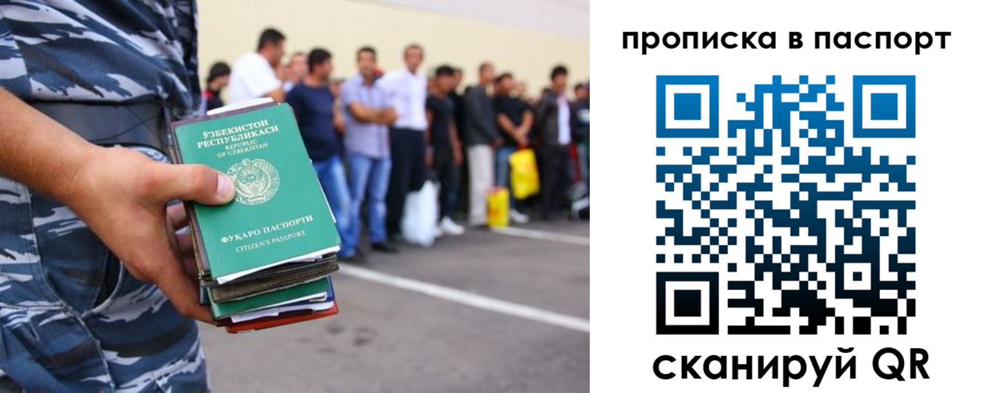 прописка в квартире в Стародубе